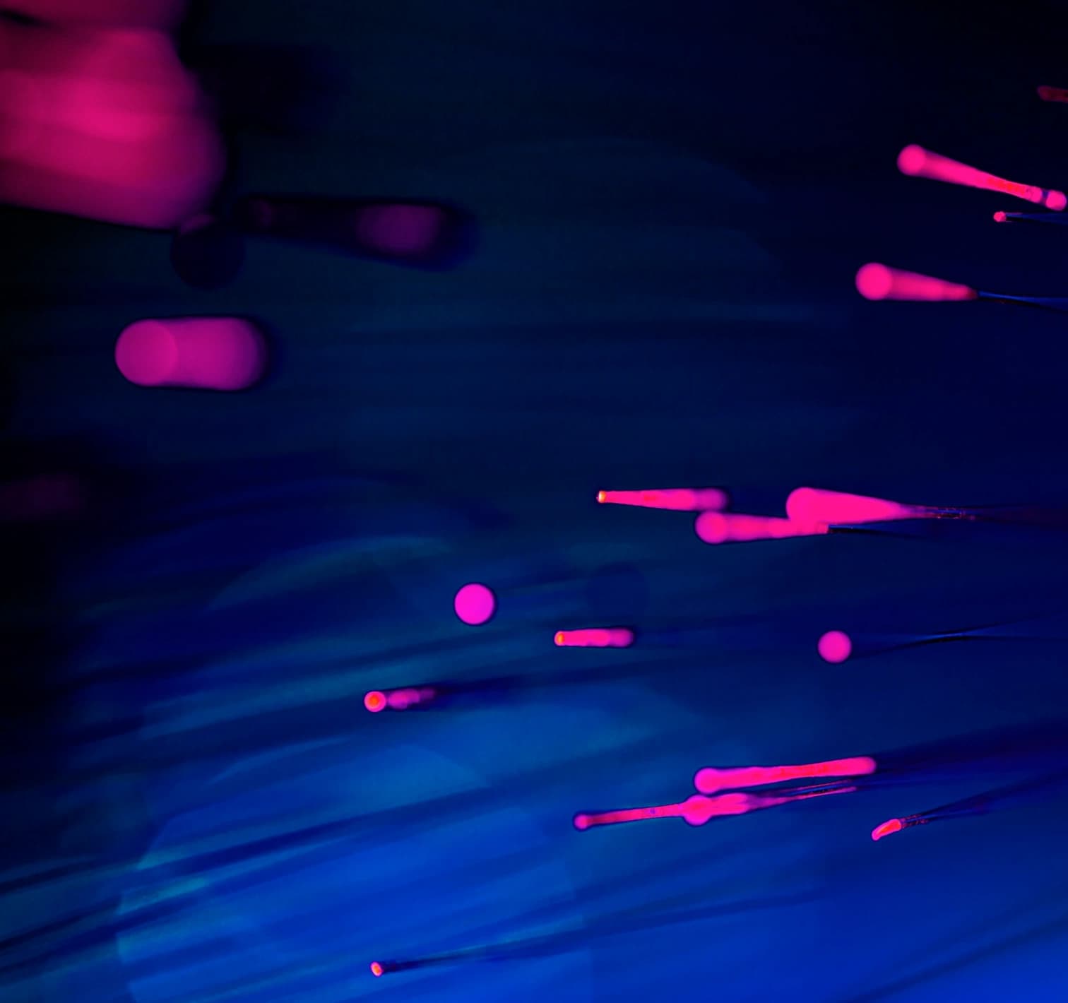 Optimize with Insights